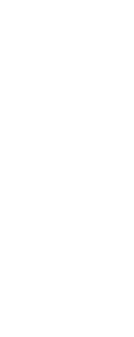 今日は少しだけ