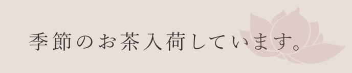 季節のお茶入荷しています。